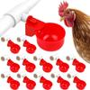 Automatic Poultry Drinker: Duck, Goose, Pigeon Water Feeding Equipment