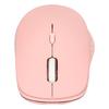 Wireless Mouse RGB Running Light Stylish Universal Dual Modes Type C Rechargeable Bluetooth Mouse