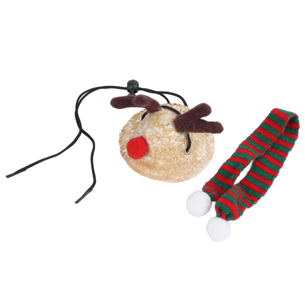 Bearded Dragon Santa Hat Cute Soft Scarf Adjustable Size Bright Colors Lizard Santa Hat with Scarf