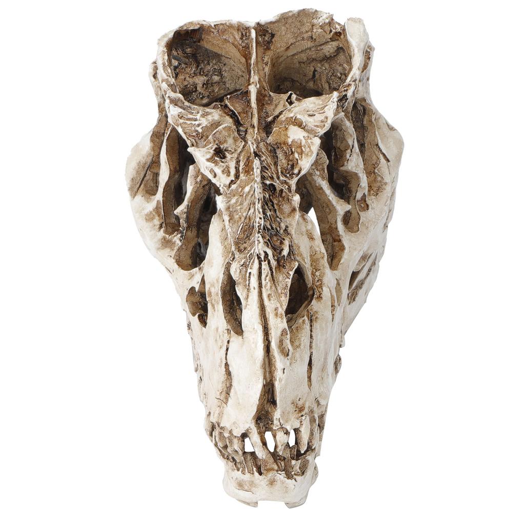 Resin Dinosaur Skull Personality Animal Skeleton Ornaments Props Halloween Collection Craft Decor