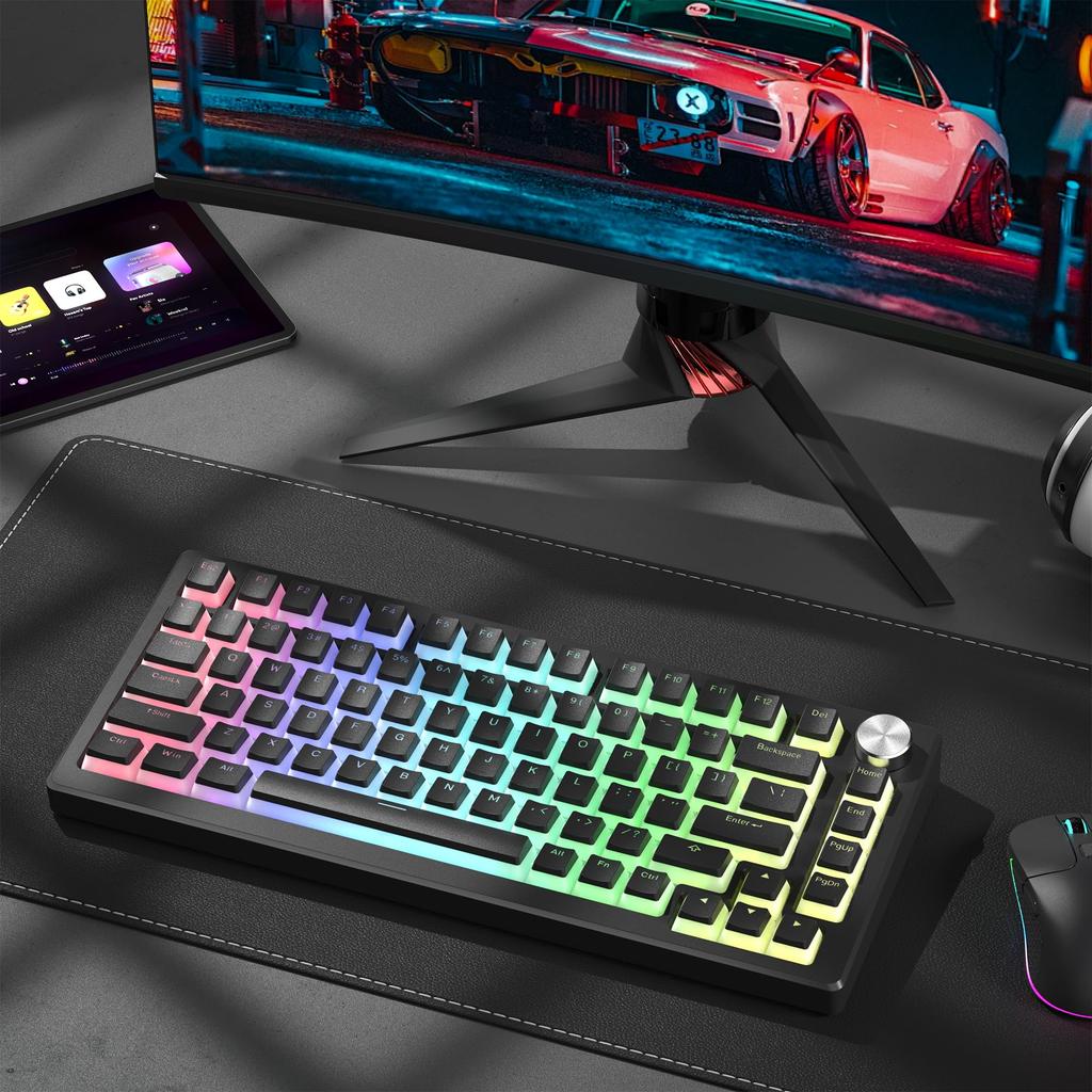 Womier 129-Key PBT Keycap Set, OEM Profile, Transparent, Universal Type (Black)