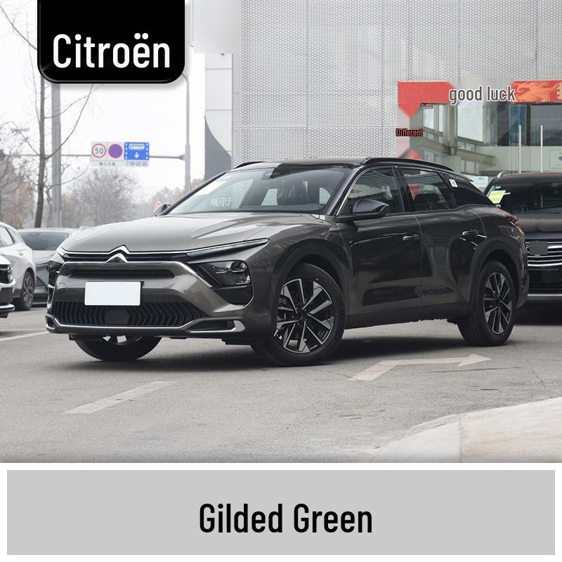 Touch-Up Paint Pen for Dongfeng Citroën: Elysee, C4L, Sega, Versailles, Picasso, Yunyi, Fukang.