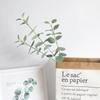 Home Decoration Supplies Simulation Green Plant Money Eucalyptus Leaves Flower Arrangement Home Decorations Wedding Leaves
