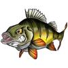 Custom Fishing Fish Car Stickers PVC Glue Sticker for Motorcycle Surfboard Laptop Vinyl Wrap Anime Cartoon Decor Car Accessories