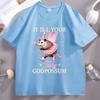 It Is I Your Fairy Godpossum Graphic T Shirts Funny Opossum Spirit Animal TShirt Cotton Short Sleeve Unisex Women Round Neck Tops