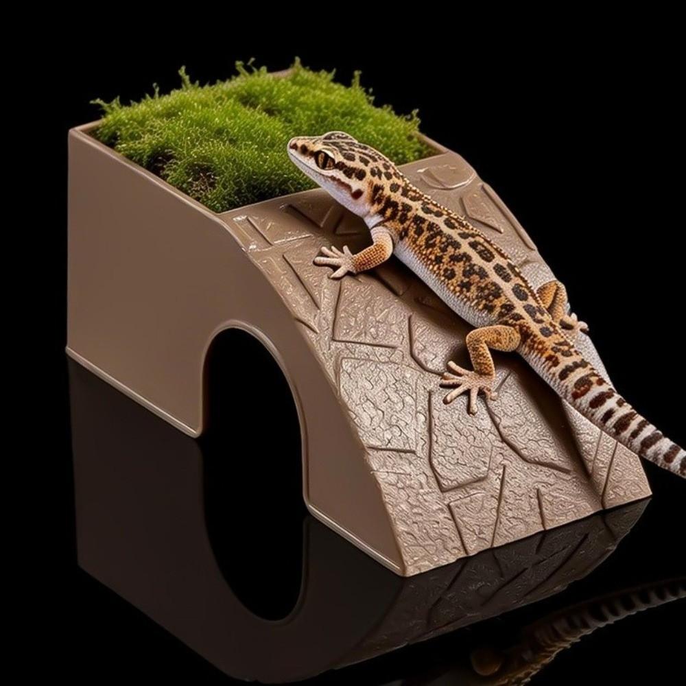 Anti Drowning Reptile Hideout Cave Plastic Automatic Feeding Plate  Turtle Tank Ornaments