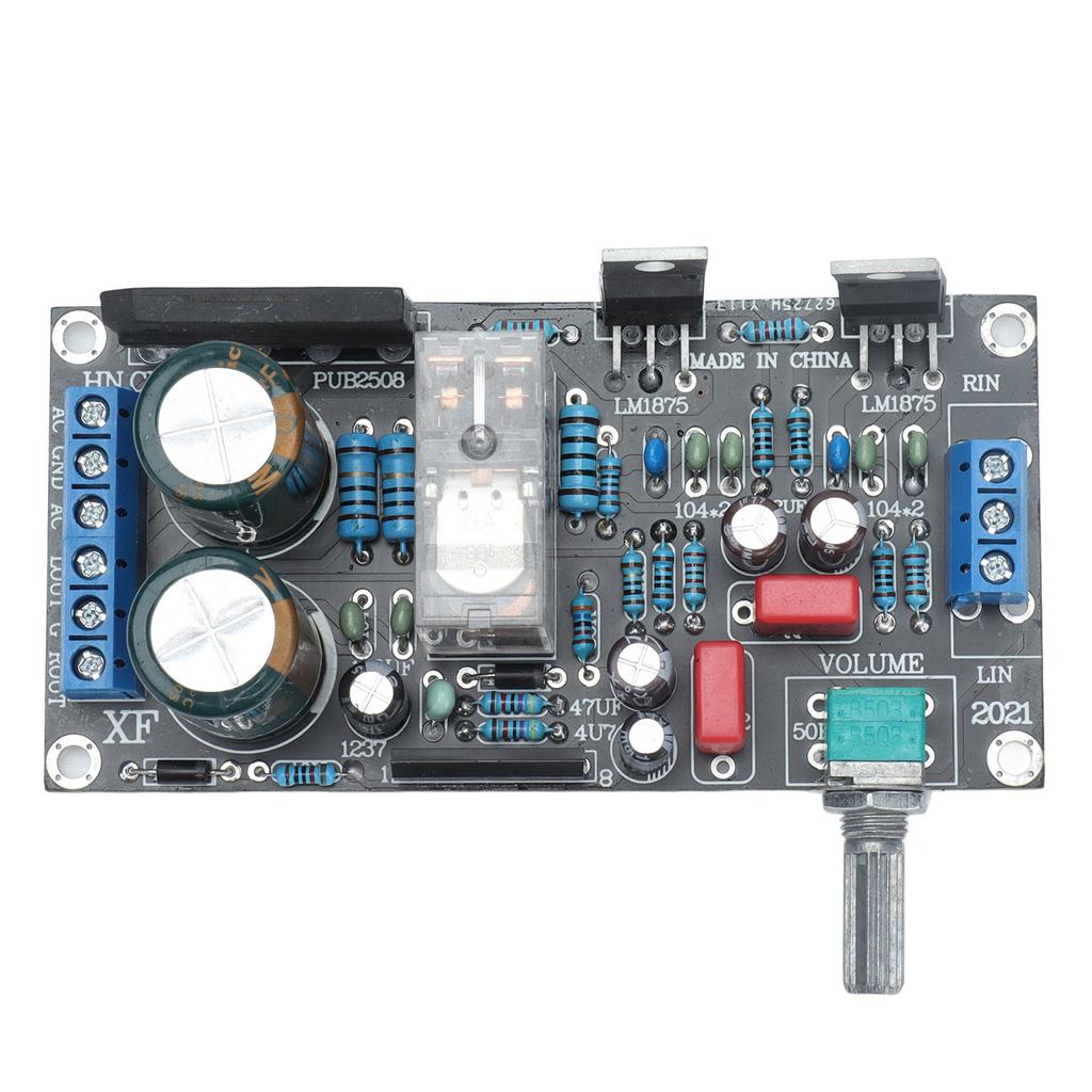 Scheda Amplificatore 2.0 Doppio Canale Protezione Altoparlanti Volume Regolabile LM1875T per 2030