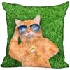 Bedroom Home Office Decor Pillowcase Square  Funny Cat Animal