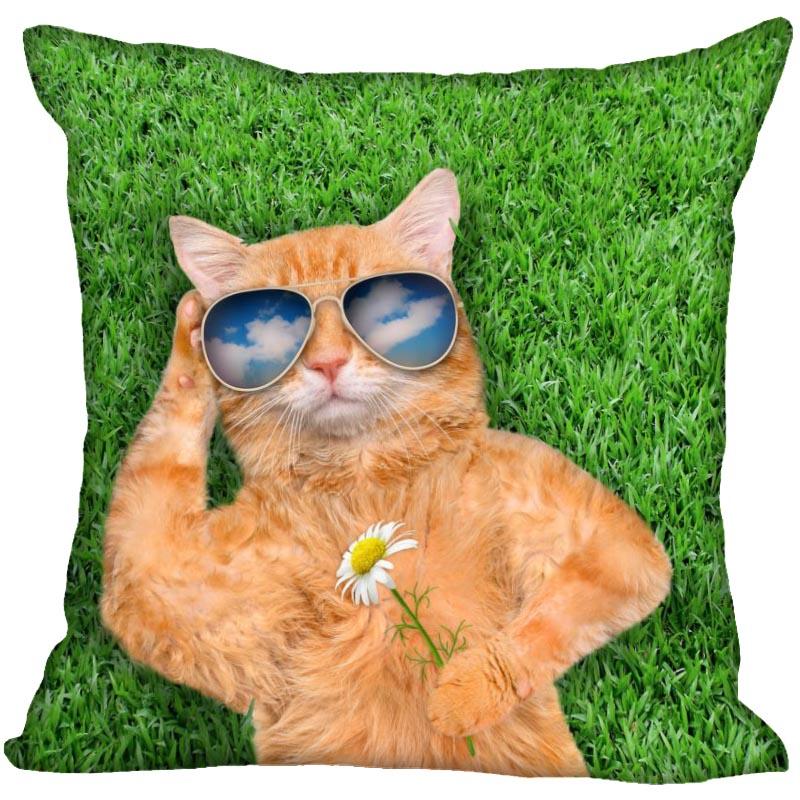 Bedroom Home Office Decor Pillowcase Square  Funny Cat Animal