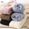 Thickened Autumn Winter Female Coral Fleece Floor Socks Warm Comfortable Plush Small Ear Cat Outdoor Home Leisure Sock