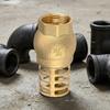 Strong Metal Brass Foot Valve Female Thread Check Valve Strainer Filter  Complete Specifications
