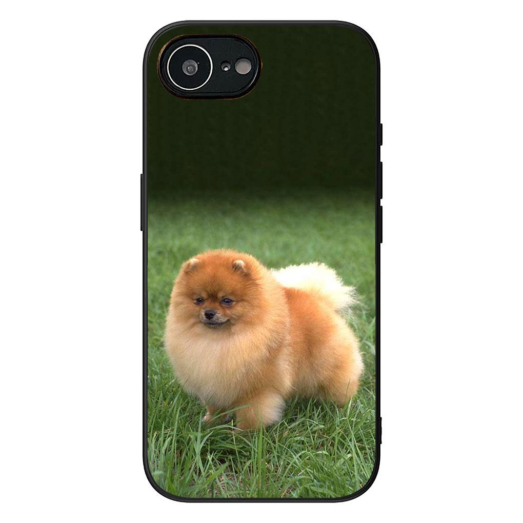 Soft Cover for Apple iPhone 13 12 Mini XS 11 Pro Max 7 8 Plus + XR SE 2022 2020 SE3 Coque Phone Case Pomeranian Poodle Dog