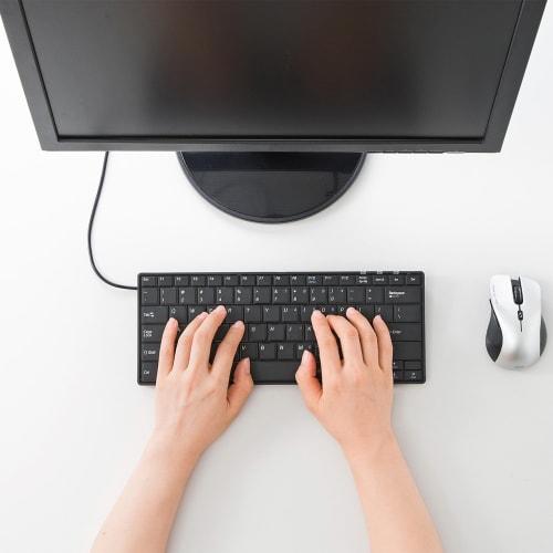 SANWA SUPPLY English Layout USB Slim Keyboard Pantograph No Numeric Keypad Black SKB-E3U