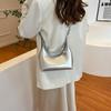 Luxury Women's Autumn 2024 Fashion Dumpling Shoulder & Handheld Commuting Bag