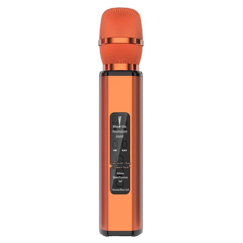 Wireless Bluetooth Microphone Speaker with Duet and Original Sound Cancellation for Home Singing