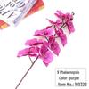 9-Head Phalaenopsis Orchid for Home, Project Landscaping, or Wedding Decoration