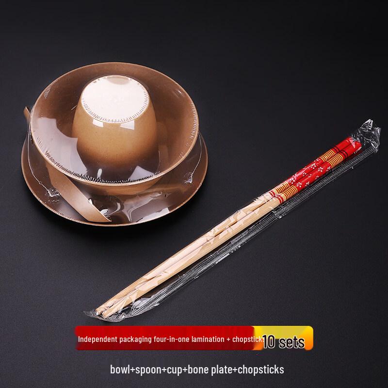 Disposable Dinnerware Set