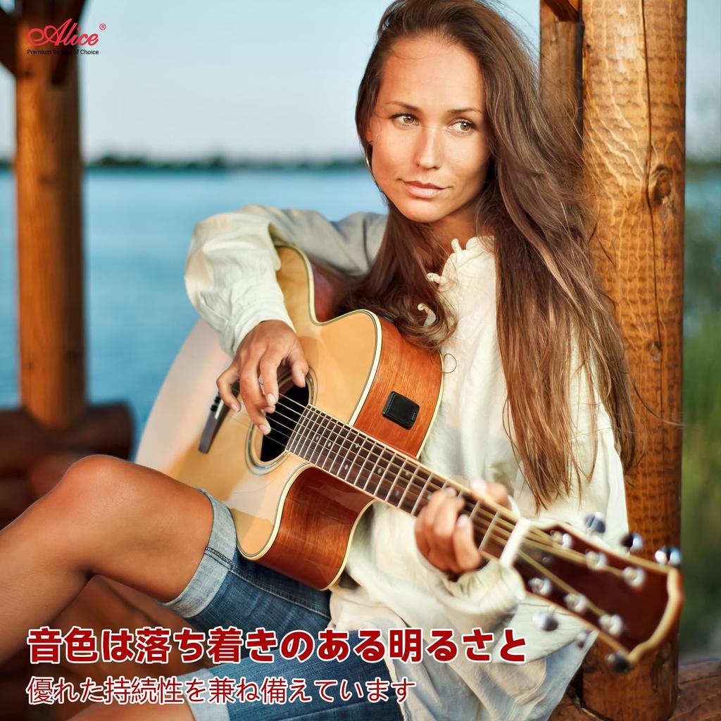 Alice Acoustic Guitar Premium Performance Light Strings, 80/20 Bronze, Strings, .012-.053, AWR480-L