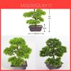 Artificial Pine Bonsai Tree With Pot For Office Decor And Indoor Greenery