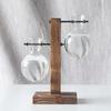 Hydroponic Vase with Wooden Stand Retro Glass Bulb Plant Propagation Station for Home Decoration