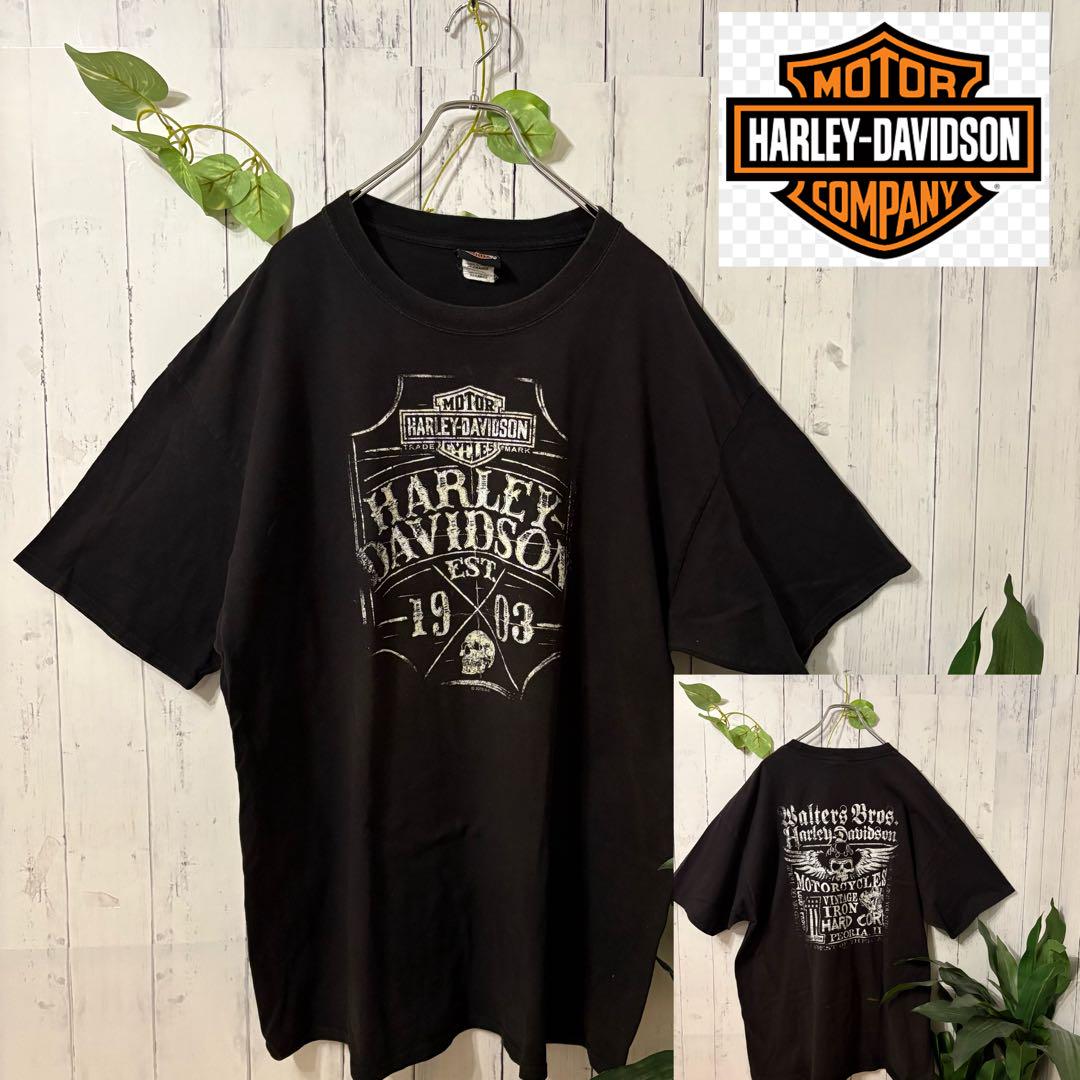 

[USED] Rare Harley-Davidson double-sided print short-sleeved T-shirt in black with a skull. Vintage.