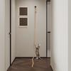Wall-Mounted Cat Furniture Climbing Frame with Cat Ladder  Scratching Post Resting Hammock and Cat Nest Design for Active Pets