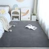 Solid Coral Fleece Rug for Living Room or Bedroom - Large Area Full Coverage Mat