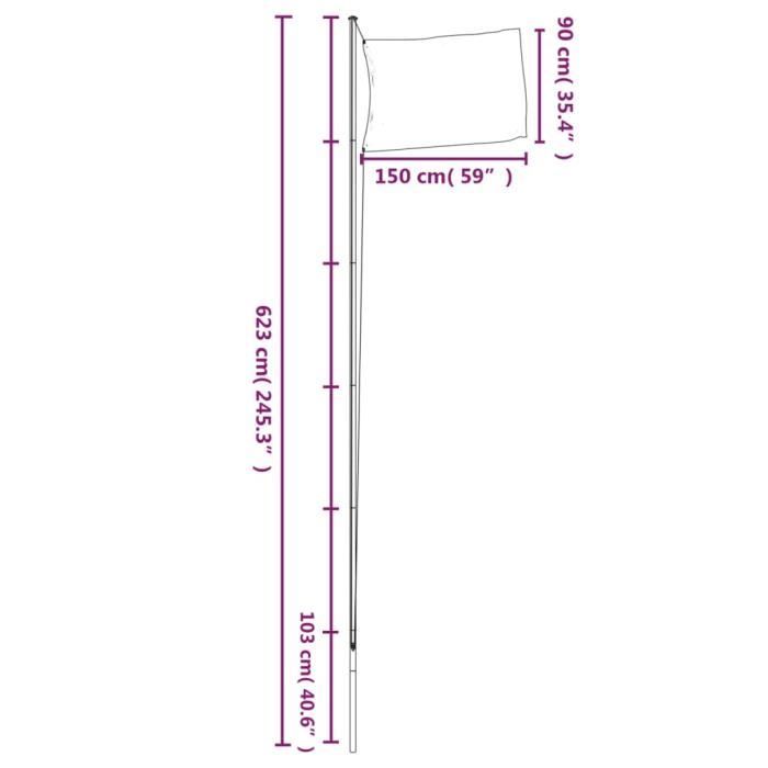 VidaXL Drapeau de l'Europe et mât 6,23 m Aluminium 3147114