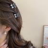 French Light Luxury New Mini Imitation Pearl Hair Claws For Women Temperament Versatile Fringe Clips Fashion Premium Accessories
