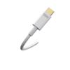PISEN 100W Dual USB-C PD Fast Charging Cable for Apple 15 & Notebooks