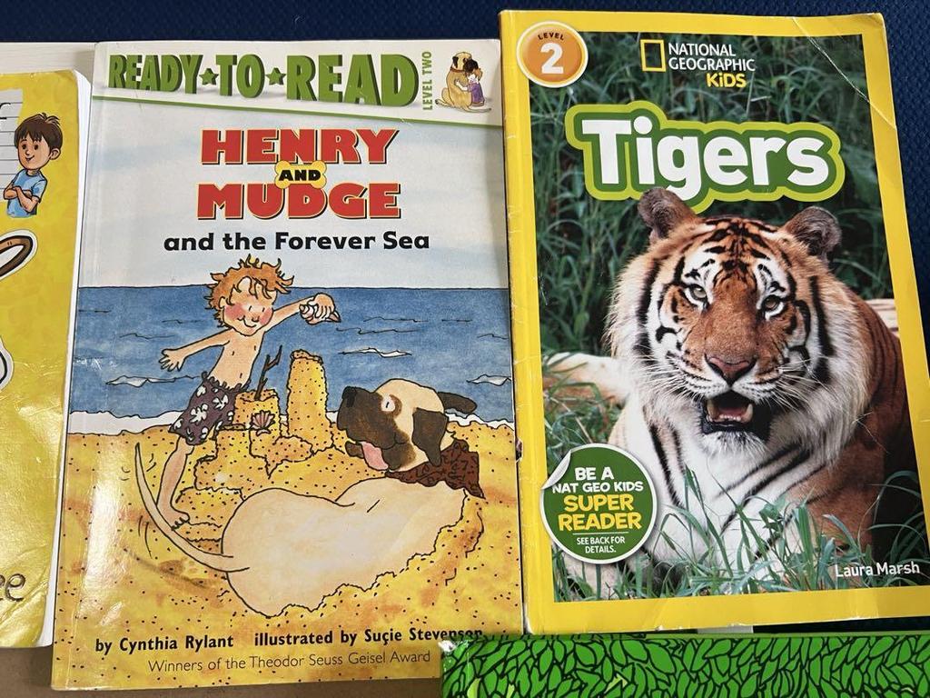 [USED] Final price reduction, immediate delivery, EnglisBooks English picture book set of 8 books