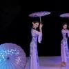 56cm Oiled Paper Umbrella Dance Performance Umbrella  Bridesmaids Party Scenery