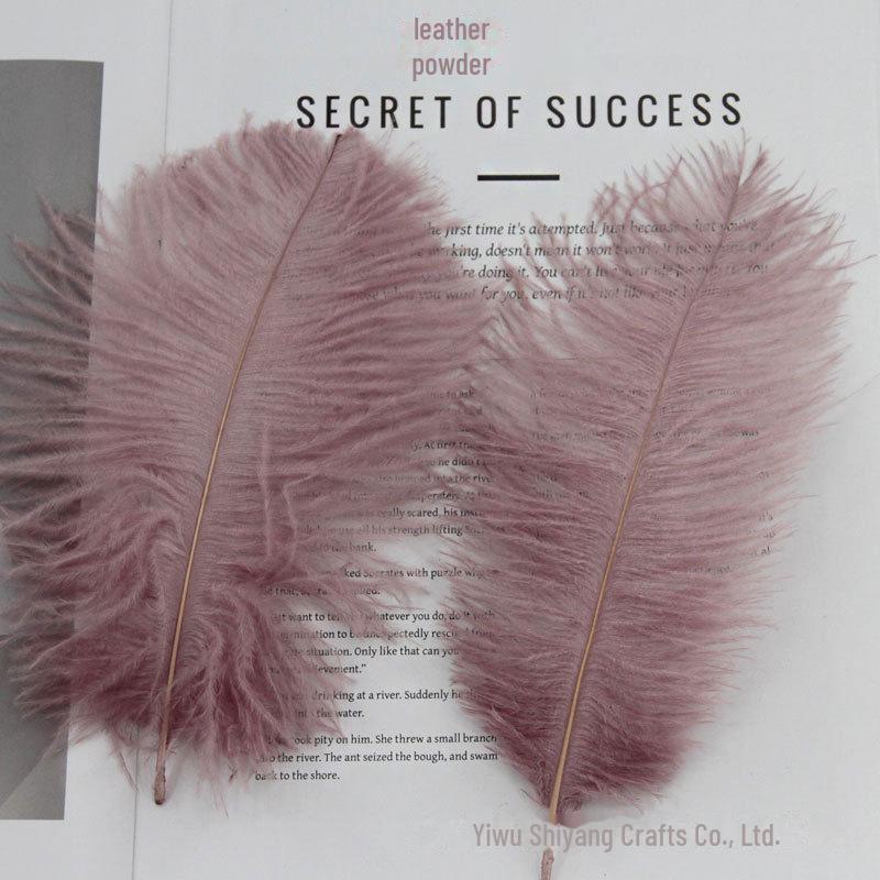 Barevné zavírače na dorty z pštrosího peří a příslušenství