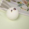 Saeroel Natural Body Care Bubble Bath Salt 4-piece Set + Shopping Bag