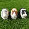 Exquisite And Soft Animal Simulation Model Perfect Gift And Decoration
