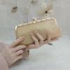 New Model, Dinner In Hand, Diamond-encrusted Ring Head Diagonal Span, Banquet In Hand, Women's Bag, Dress, Socialite, Shoulder Hand-held