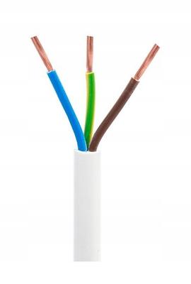 Electrical Cable Ohms 3X0.75 1M 300V White