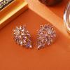 Earrings with a High-end, Fashionable, Featuring Tassels and a Three-dimensional,popular on Social Media