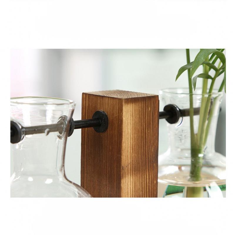 Creative Transparent Glass Plants Vase