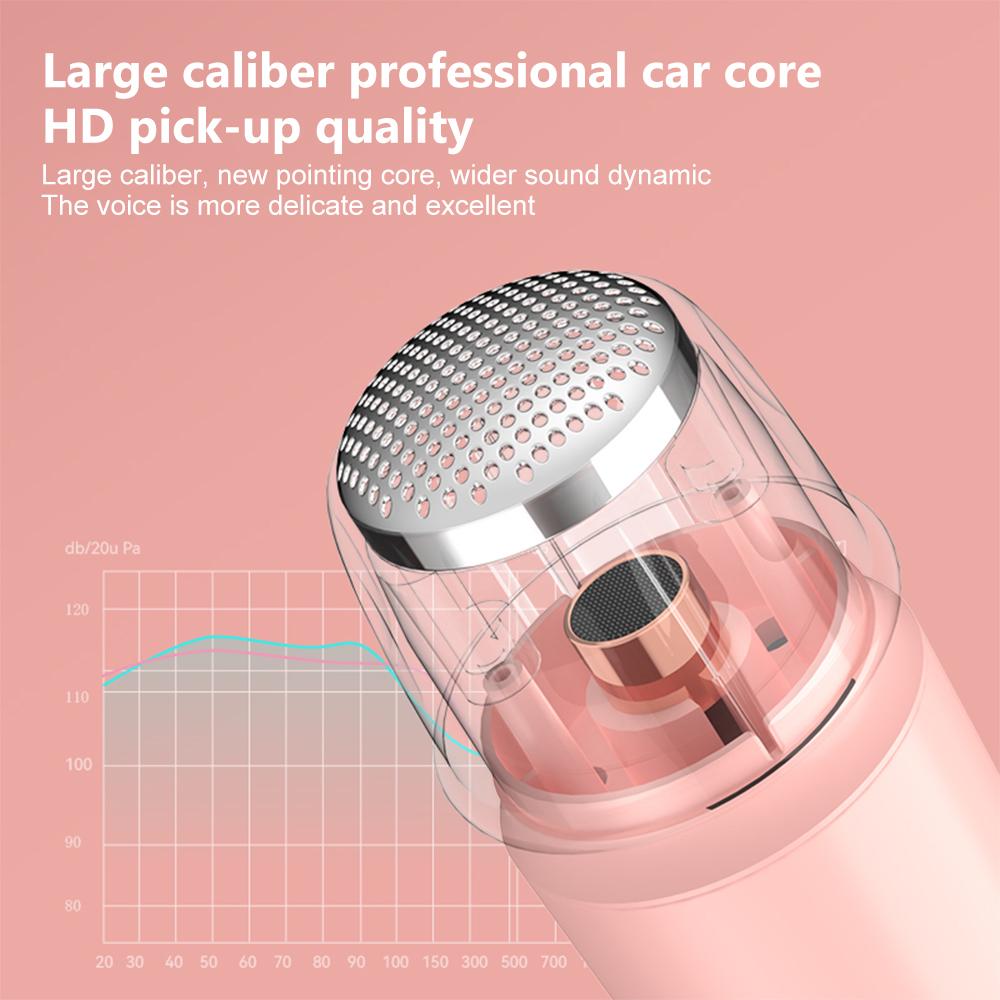 Barevná světla Domácí reproduktor Mini Karaoke Machine Dětský Přenosný Bluetooth reproduktor s bezdrátovým mikrofonem Rodinný reproduktor