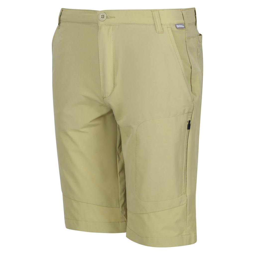 Regatta Mens Highton Walking Shorts