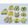 16-24 MM Natural Bumble Bee Jasper Pair Fancy Cabochon Gemstone 10 Pair Lot C-751