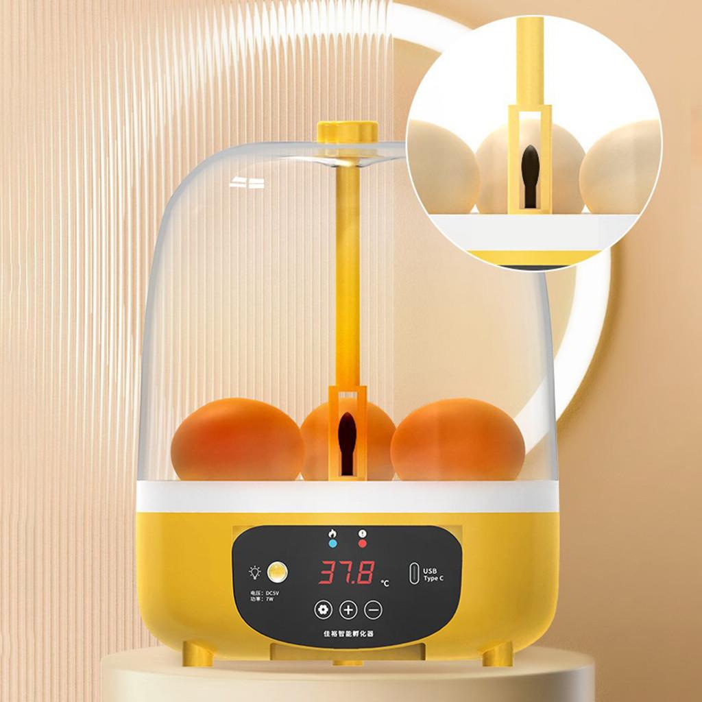 Mini-Eierbrüter mit LED-Licht Manuelle/Automatische Brutmaschine Drehende Eierplatte Landwirtschaftliche Brutwerkzeuge