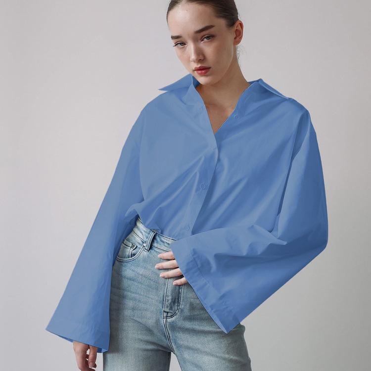 French simple commuter temperament shirt women's autumn new fashion lapel long-sleeved single-breasted loose casual top