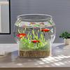 Aquarien Fischschalen Klarer Aquarium-Fischbehälter Schreibtisch-Fischbehälter für Zuhause Arbeitsplatz Kleine Aquarien Blumenvase Mittelstück