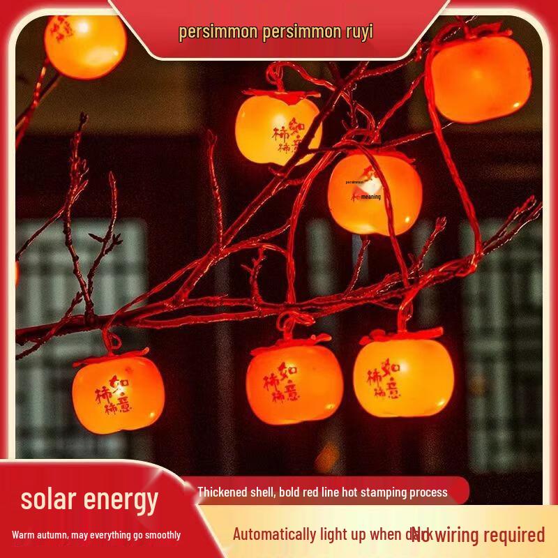 Oeny Solar Outdoor Persimmon String Lights