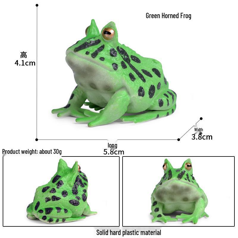 Warty Toad & Frog Simulation Toy for Kids – Amphibian Reptile Cognitive Gift