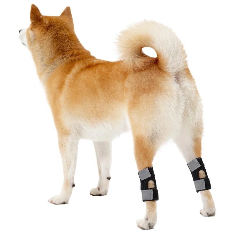 Elderly Dogs Knee Pads Assisted Support Exercise Kneepad Dogs Hind Leg Protection Cover Safety Dog Kneepad Product Leg Guards Recovery Straps Supplies