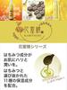 Phoenix Honey Bee Honey set Shampoo Conditioner Body soap 500ml 3-piece
