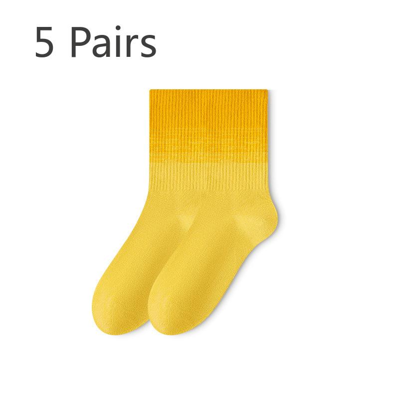 5 Pairs of Female Autumn and Winter Cotton Sports Gradient Stockings